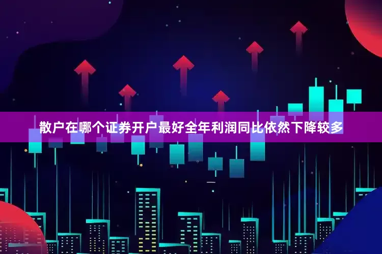散户在哪个证券开户最好全年利润同比依然下降较多