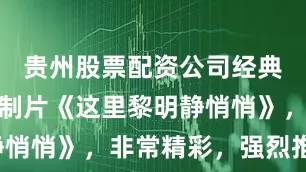 贵州股票配资公司经典老电影译制片《这里黎明静悄悄》，非常精彩，强烈推荐！
